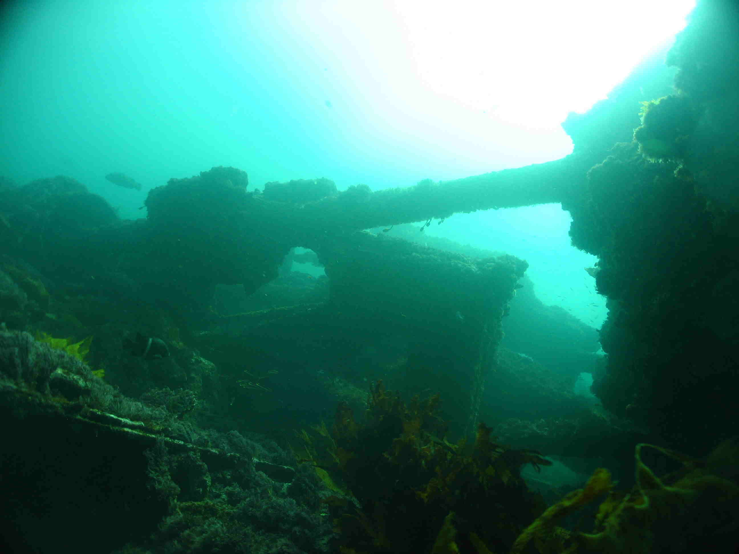 Malabar wreck 170207